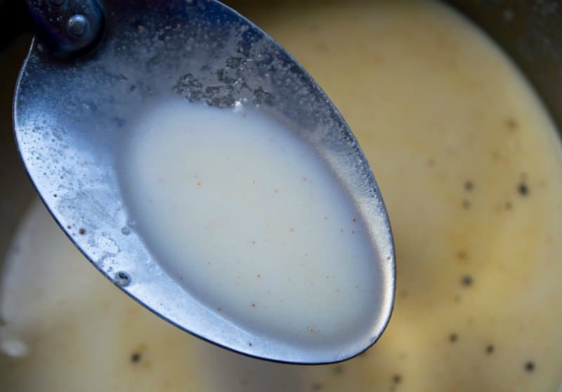 Broccoli and Cheese Soup