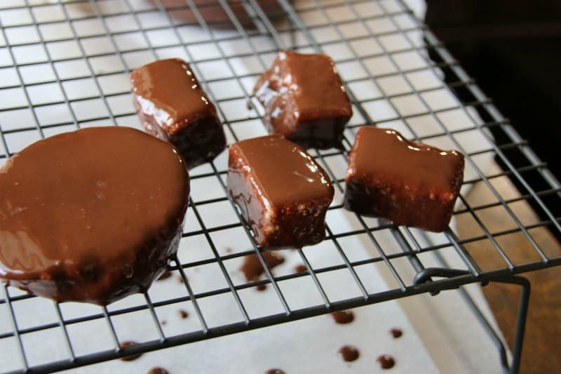 SUGAR FREE Chocolate Covered Marshmallows