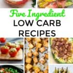 20 Five Ingredient Low Carb Recipes