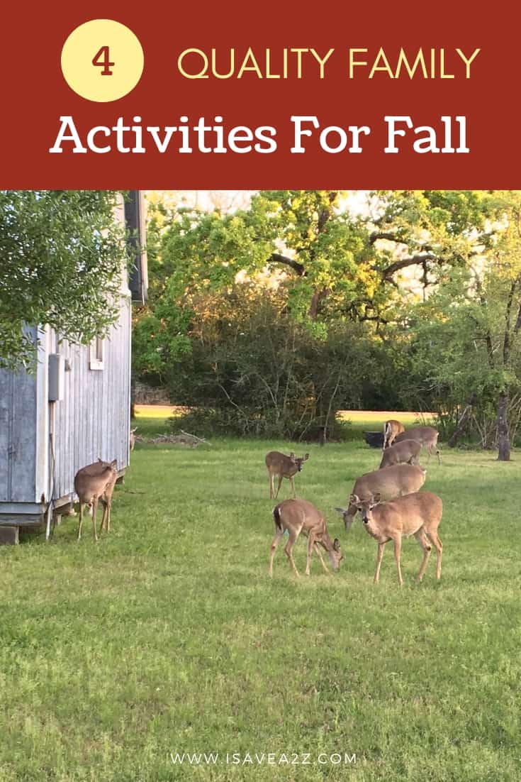 Wholesome fall family activities can be geared around anything from personal hygiene to jumping into a pile of leaves in the backyard! #sponsored #CrestSmiles 