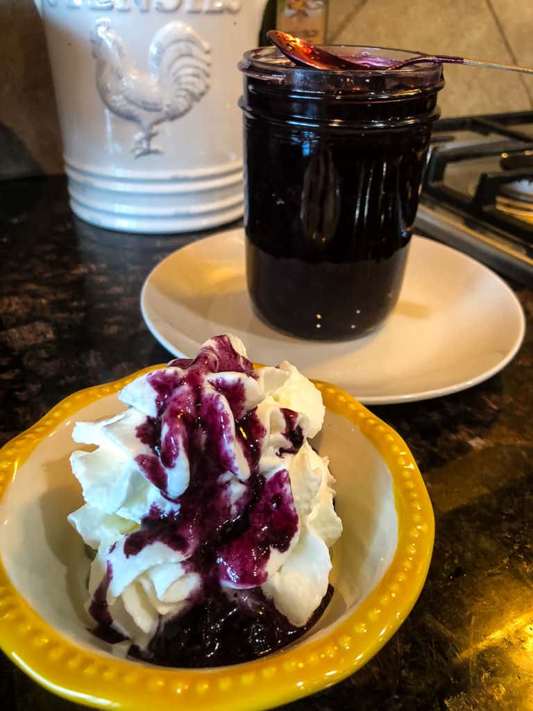 Keto Blueberry Sauce Recipe