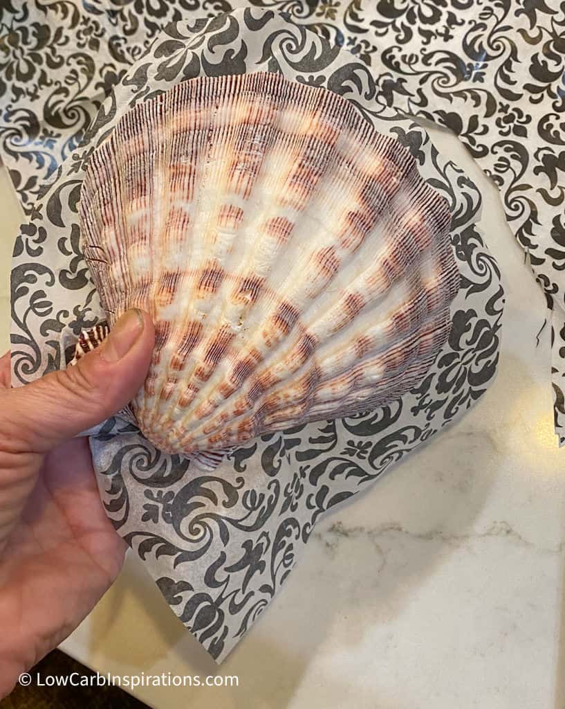 Decoupage Seashells DIY