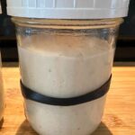 sourdough starter